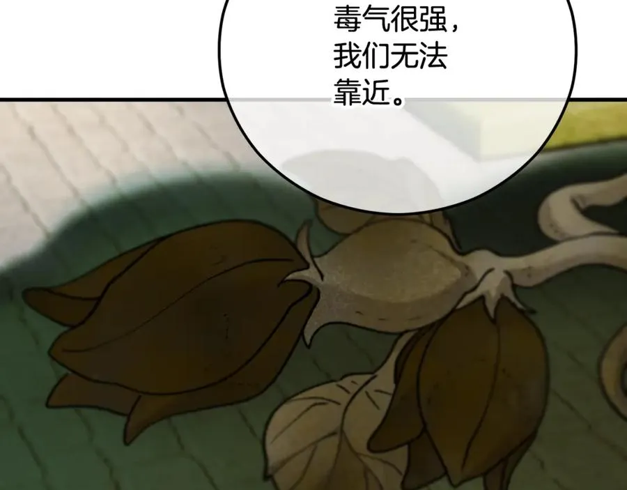 第62话 治愈能力是黑魔法？！ 第78页
