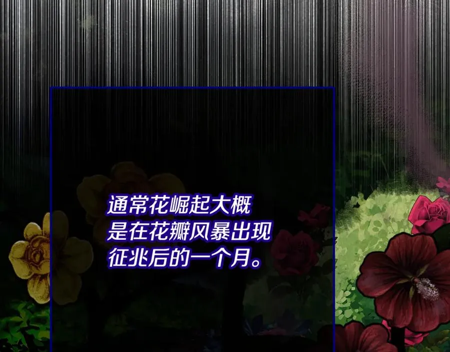 第63话 花瓣风暴是因为我？！ 第142页