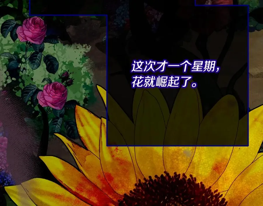 第63话 花瓣风暴是因为我？！ 第143页