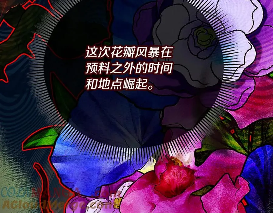 第63话 花瓣风暴是因为我？！ 第165页