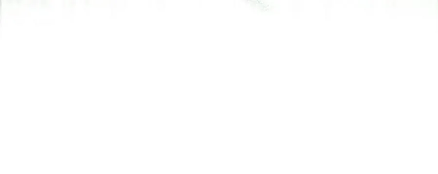 第63话 花瓣风暴是因为我？！ 第167页
