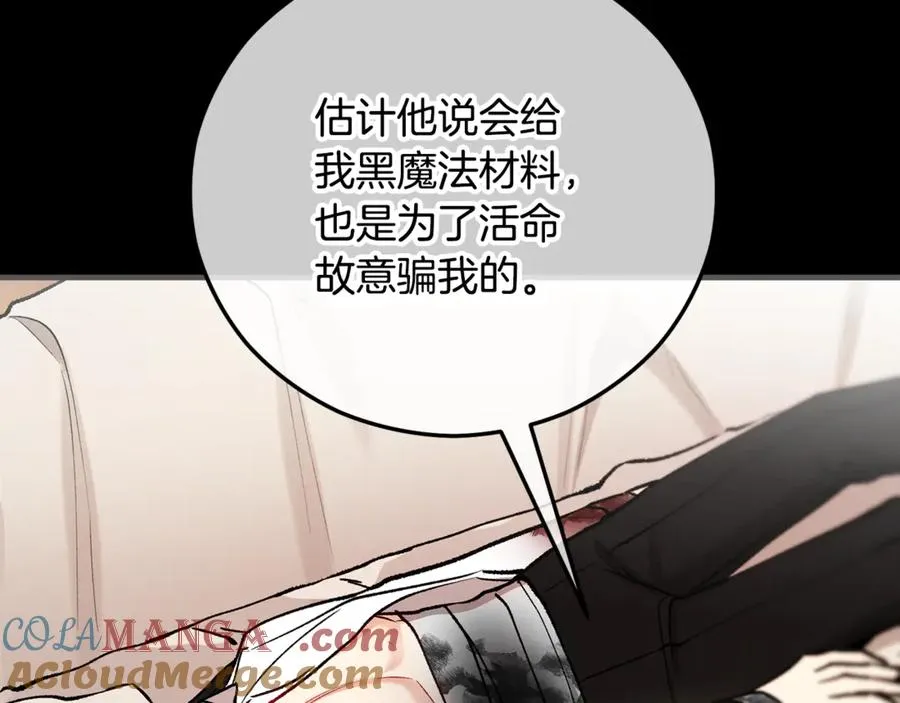 第67话 塞利斯带走秘籍 第13页