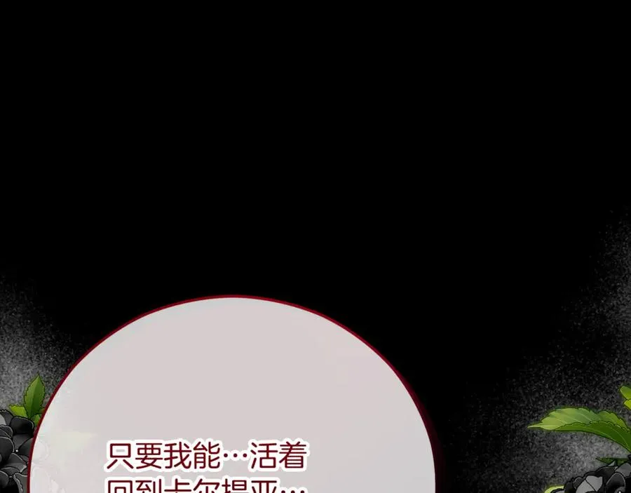 第67话 塞利斯带走秘籍 第30页