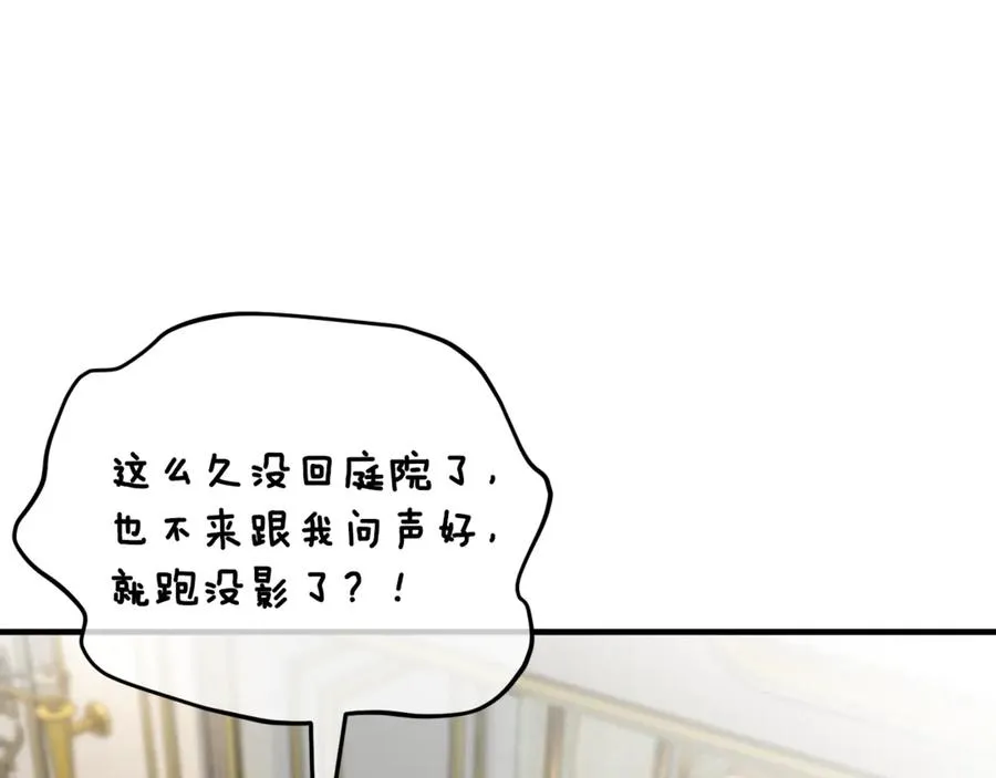 第67话 塞利斯带走秘籍 第135页