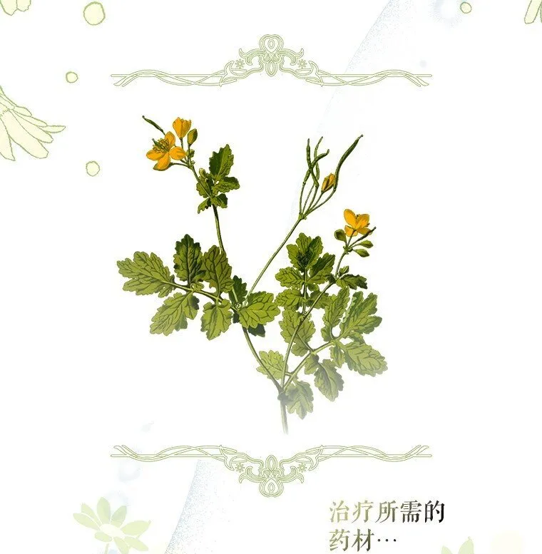 9. 重逢旧识 第38页