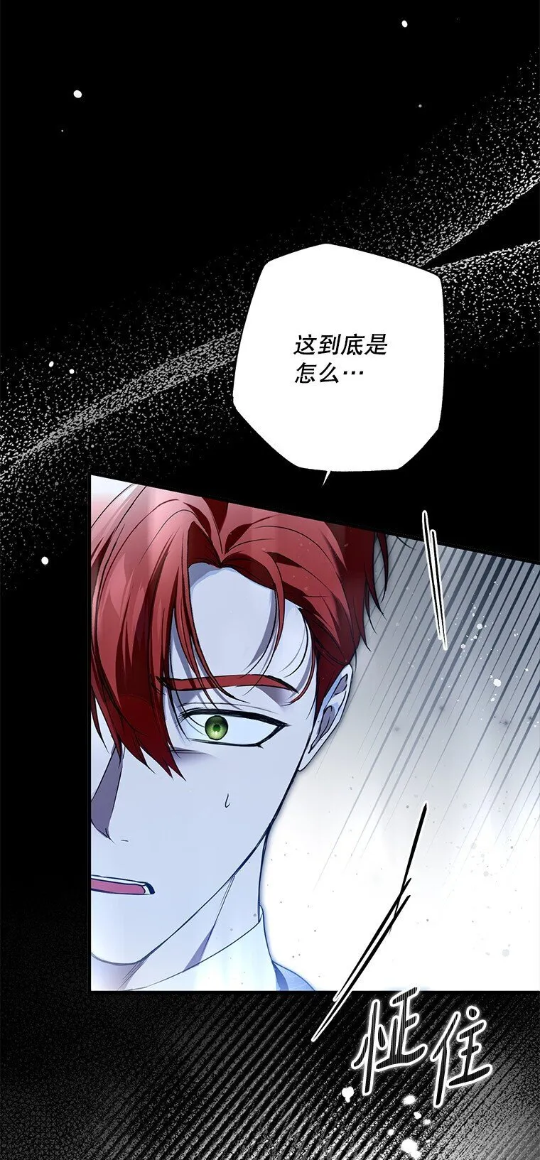 31. 冬城崩摧 第10页