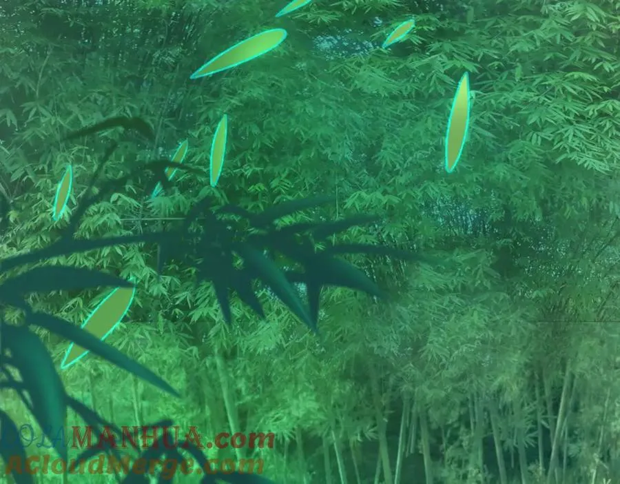 这是我的馈赠 第49页