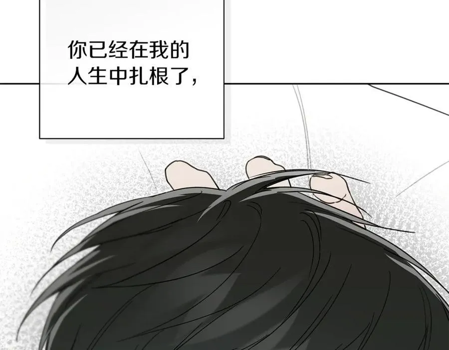 第一季完结篇 我喜欢你 第223页