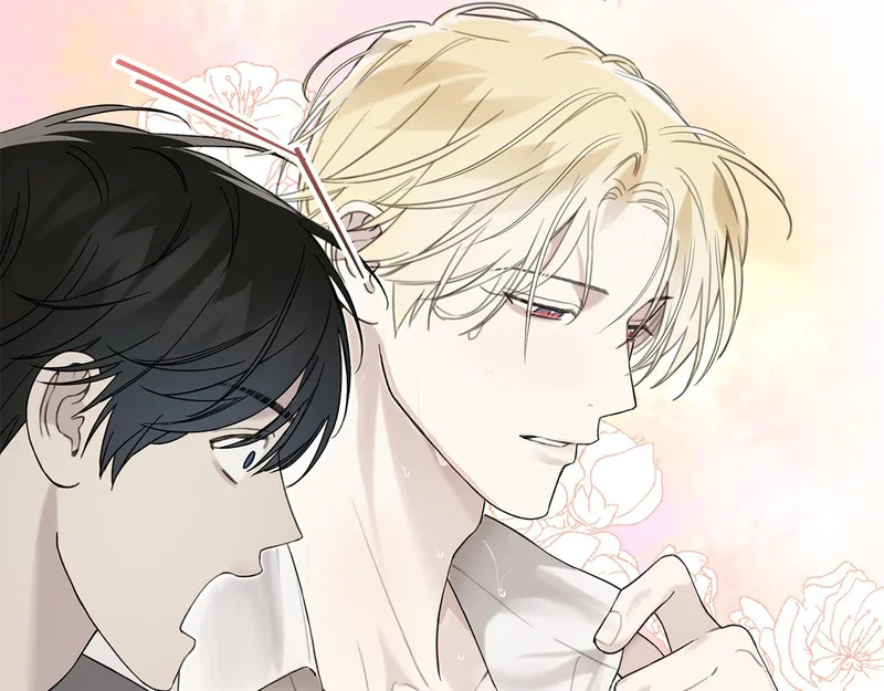 第48话 出现预言 第46页