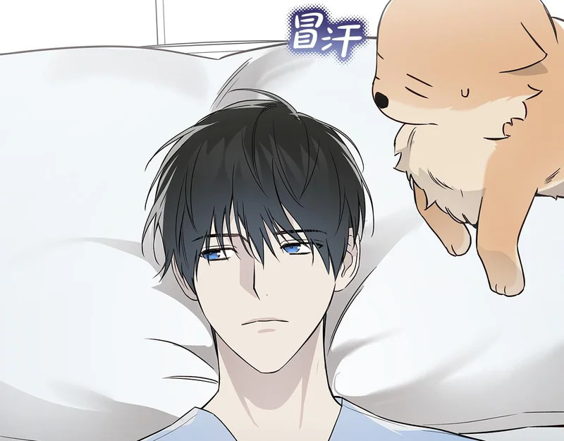 第54话 预言成真 第181页