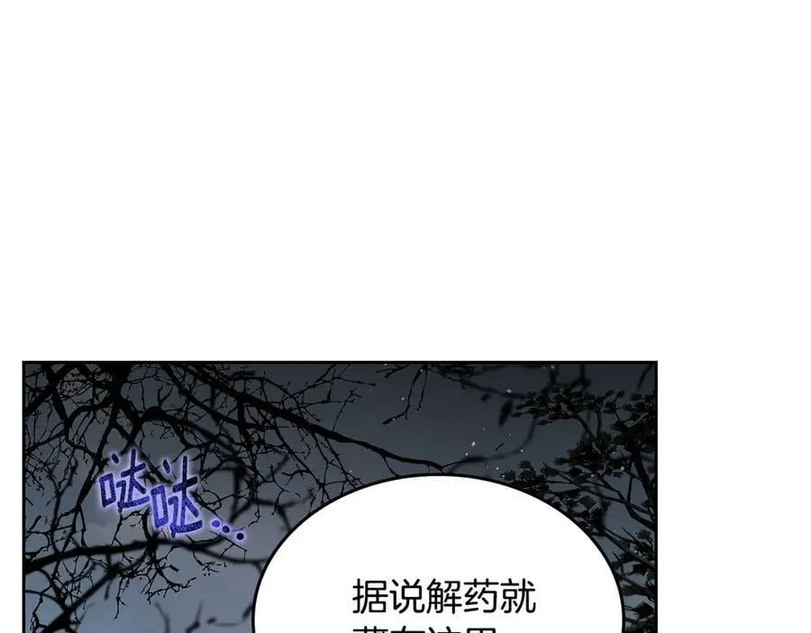 第38话 独闯魔物森林 第216页