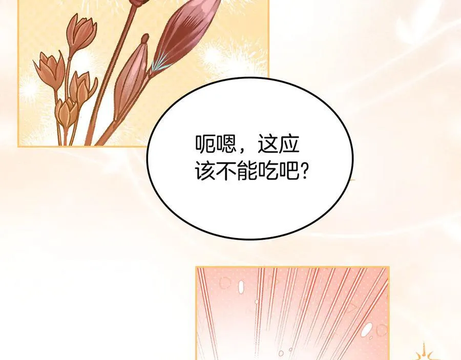 第38话 独闯魔物森林 第232页