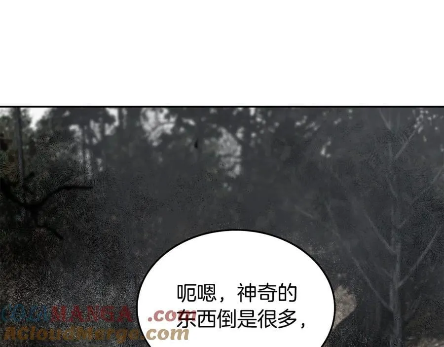 第38话 独闯魔物森林 第241页