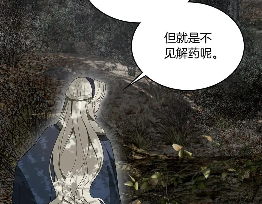第38话 独闯魔物森林 第242页