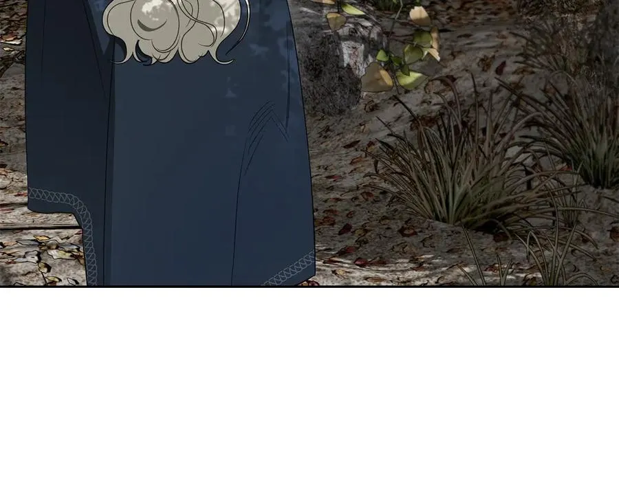 第38话 独闯魔物森林 第243页