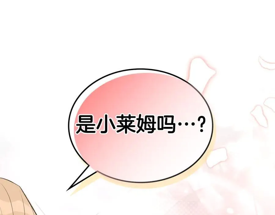 第39话 小莱姆出现！ 第163页
