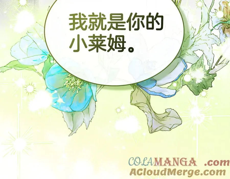 第46话 我就是小莱姆 第161页