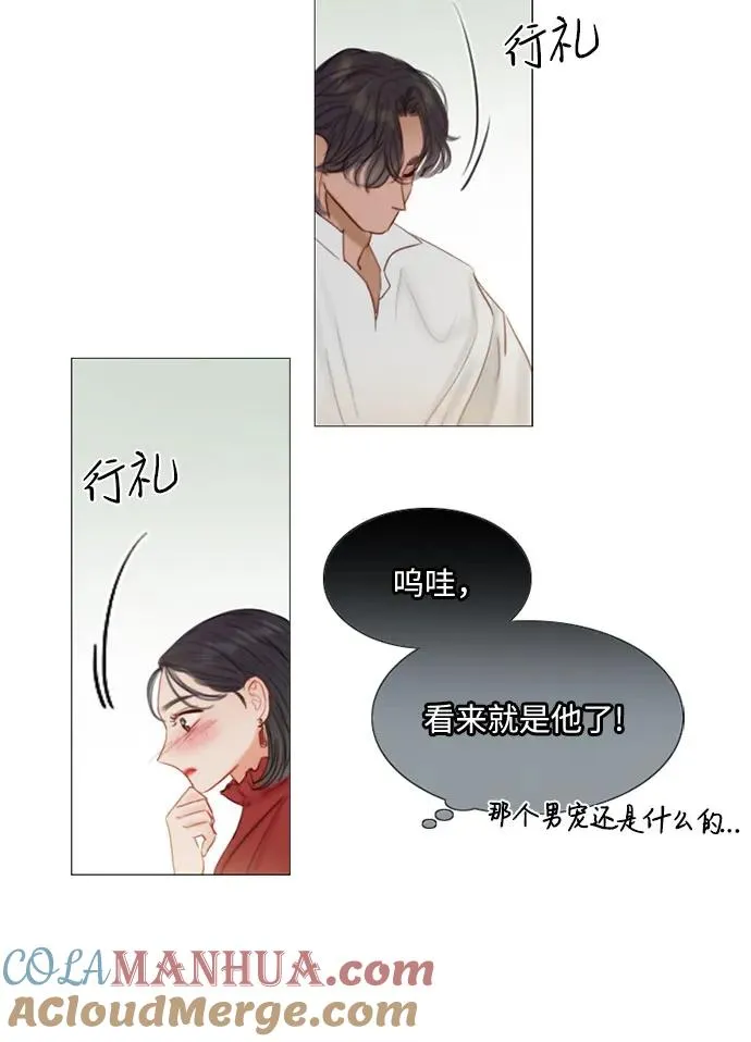 [第1话] 谢雷尼蒂的少女 第37页