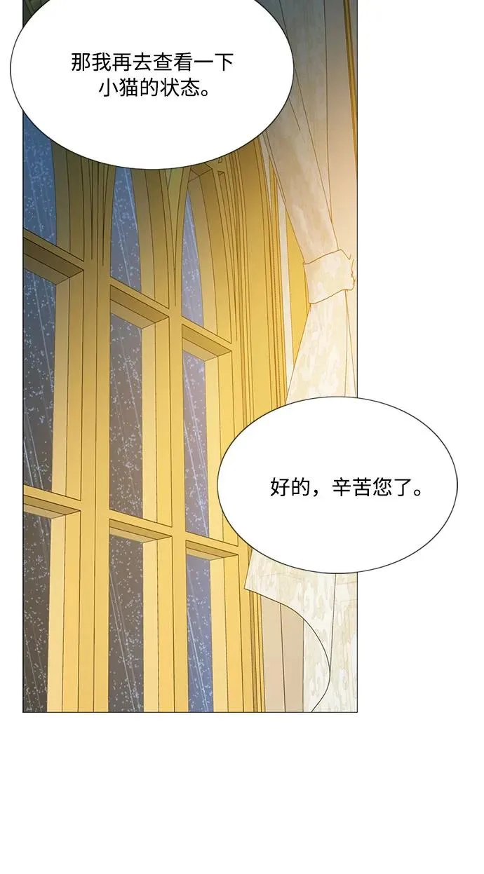 [第42话] 危险的 第14页
