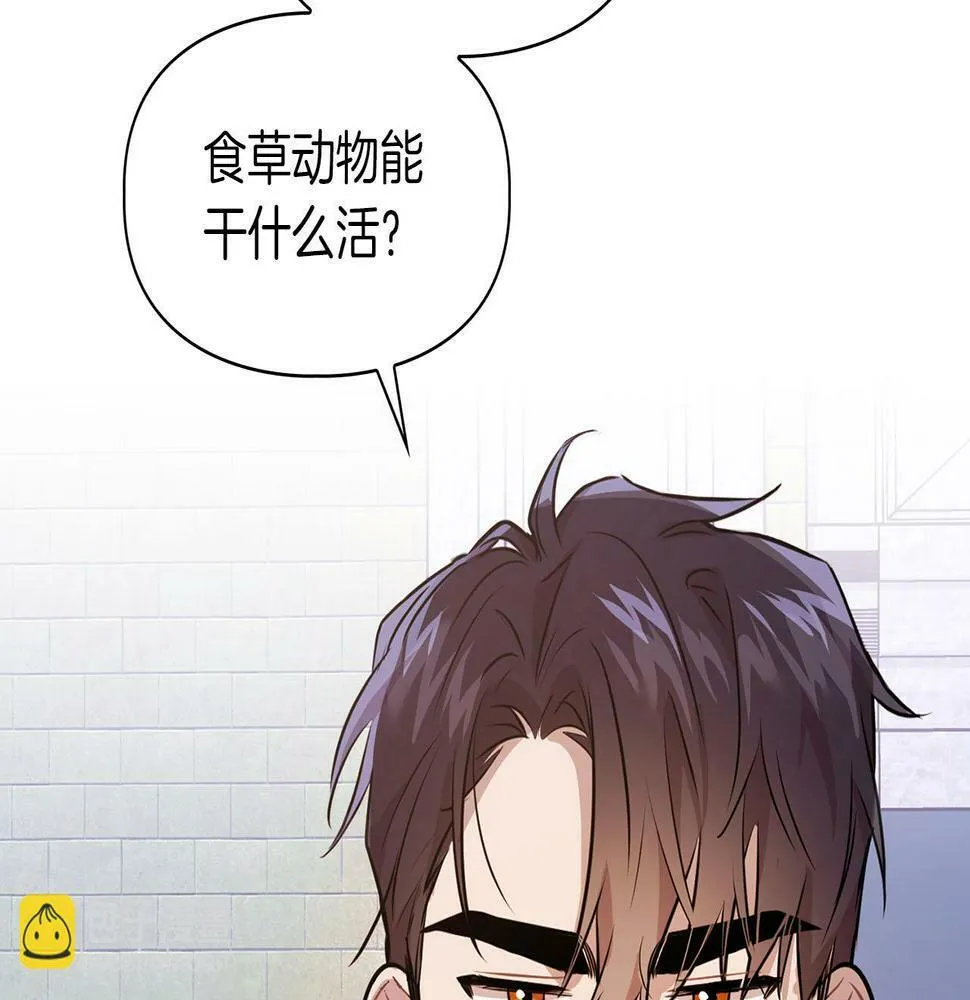 第5话 兔子和狗的混血 第3页