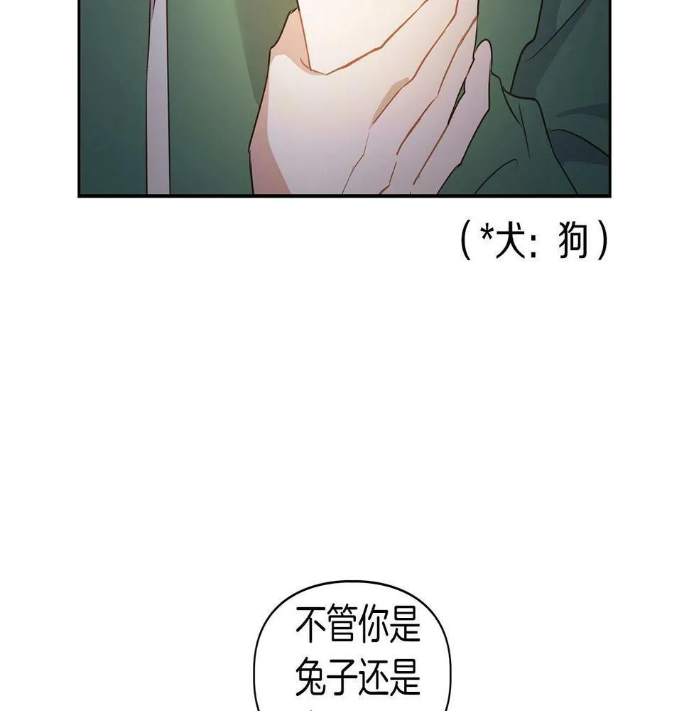 第5话 兔子和狗的混血 第25页