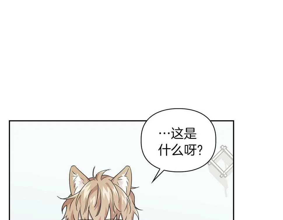 第19话 猴子入侵？！ 第5页