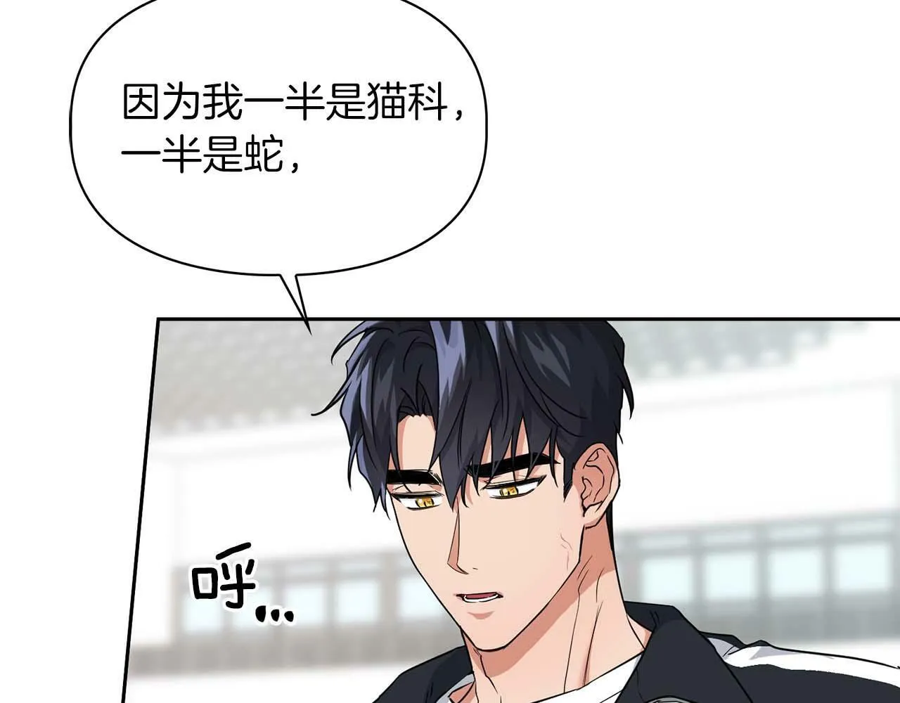 第46话 护身符 第155页