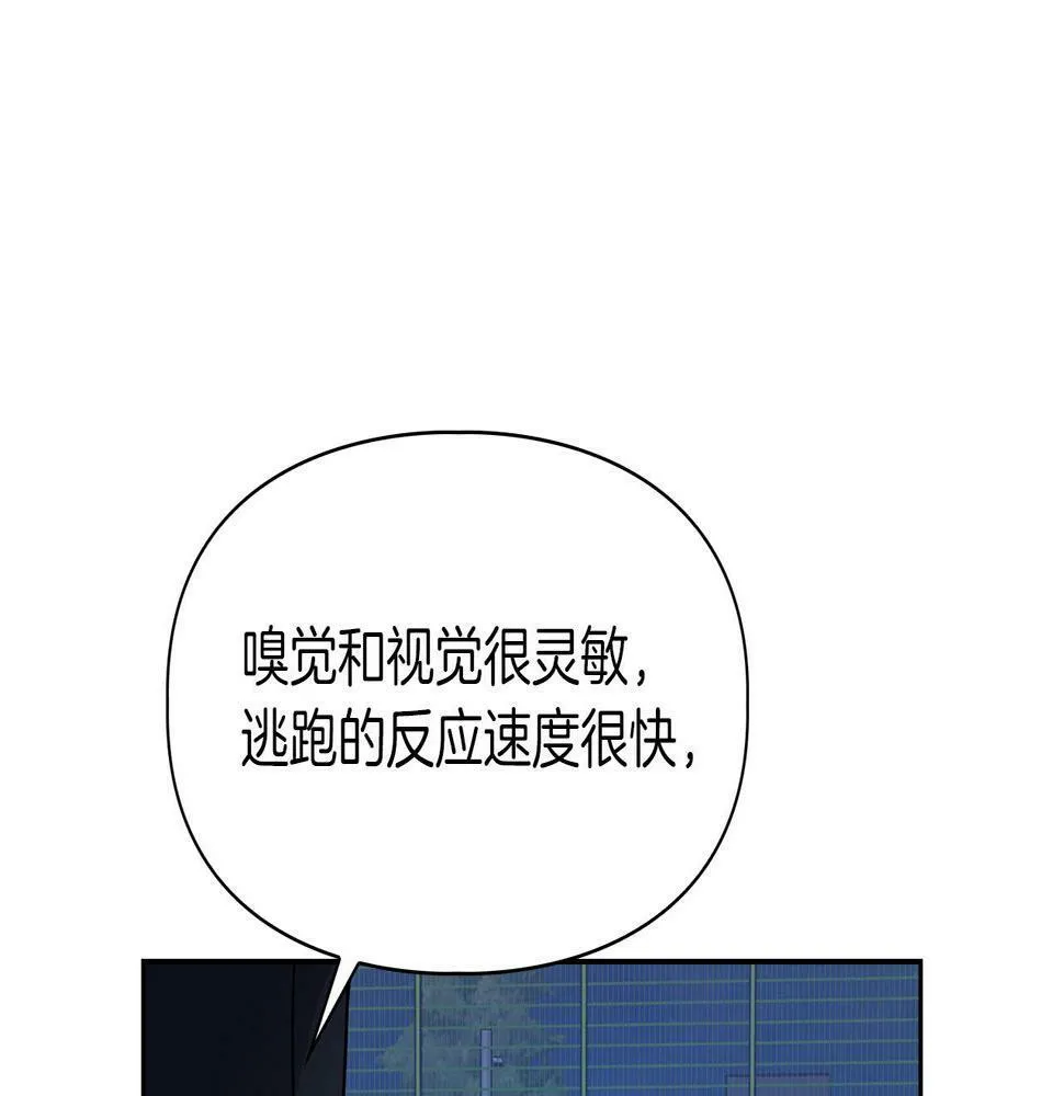 第12话 逃命的时间 第32页