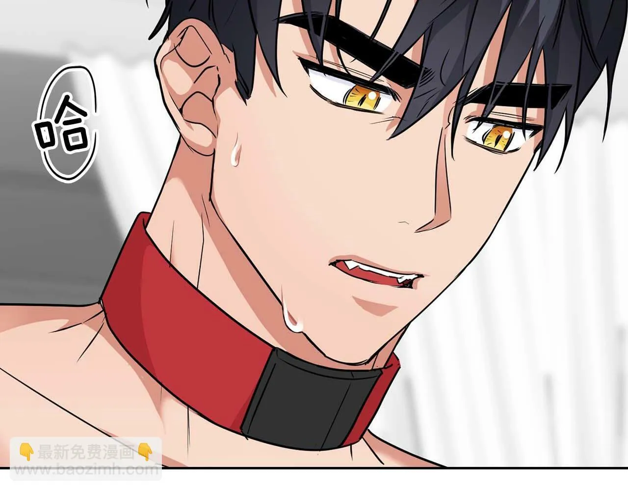 第36话 蹦跶跶的兔子 第142页