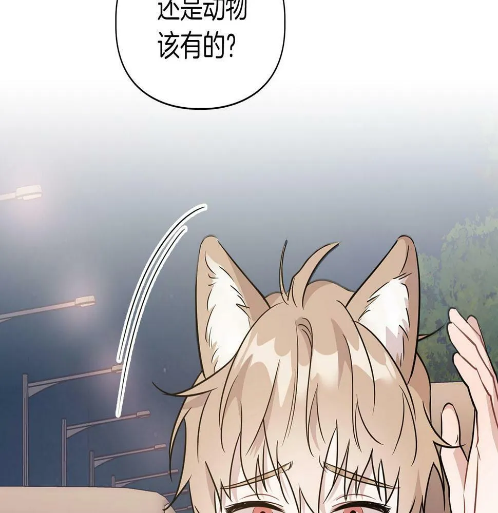第4话 半兽人社会 第6页