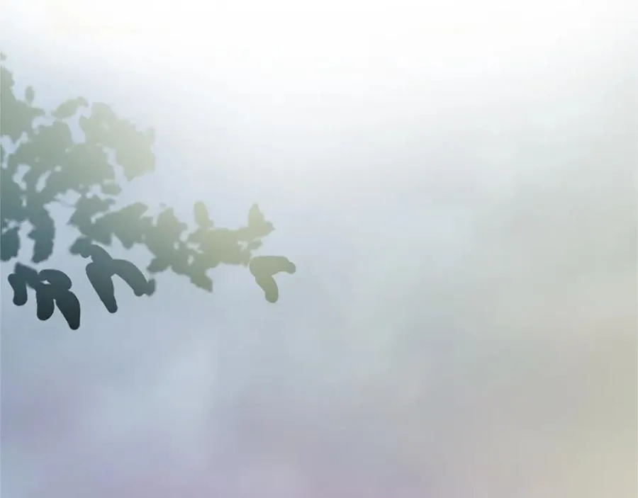 第二十八话 灵峰利基 第14页