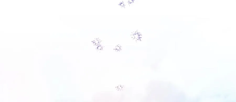 第五十一话 我的人生我做主 第35页