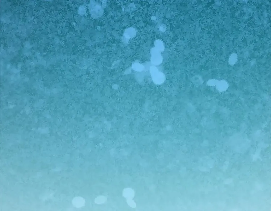 第六十话 假结婚？ 第100页