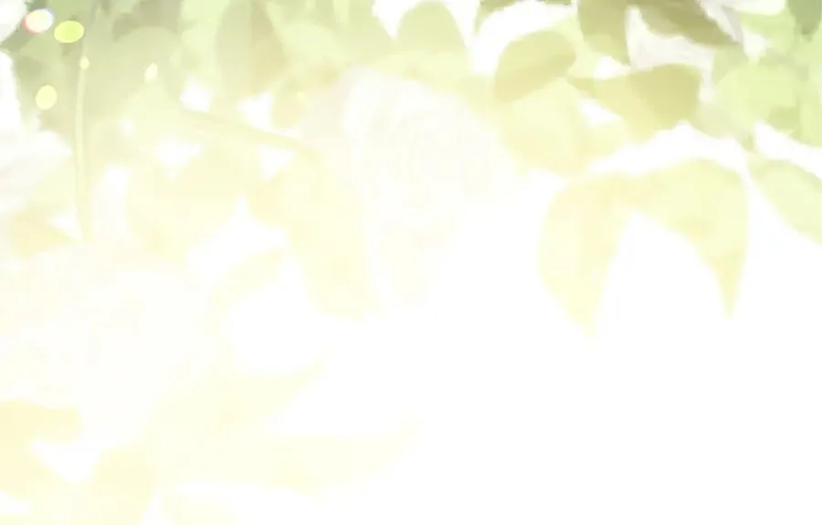 第六十八话 兄弟间的争吵 第22页