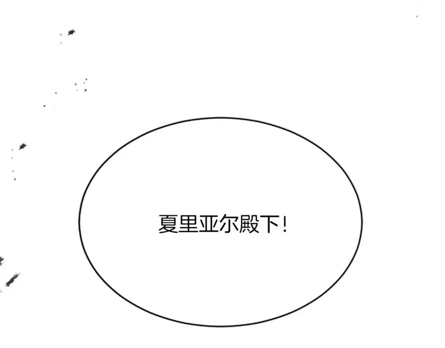 第七十四话 帕夏王子的打算 第12页