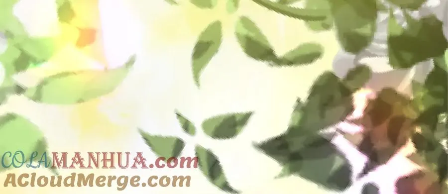 第七十四话 帕夏王子的打算 第145页