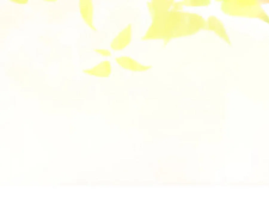 第七十四话 帕夏王子的打算 第150页