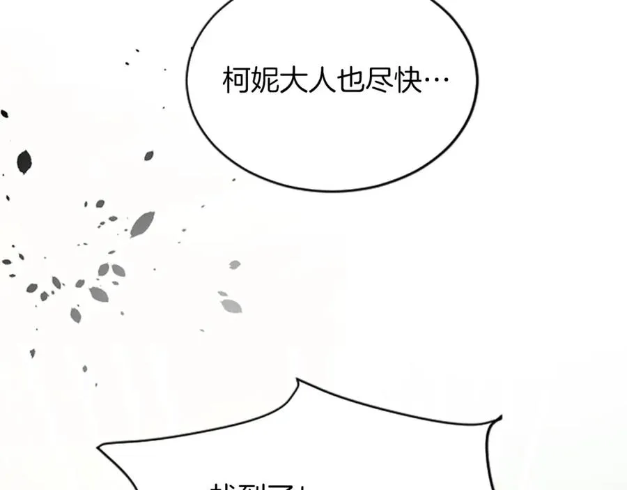 第七十四话 帕夏王子的打算 第195页