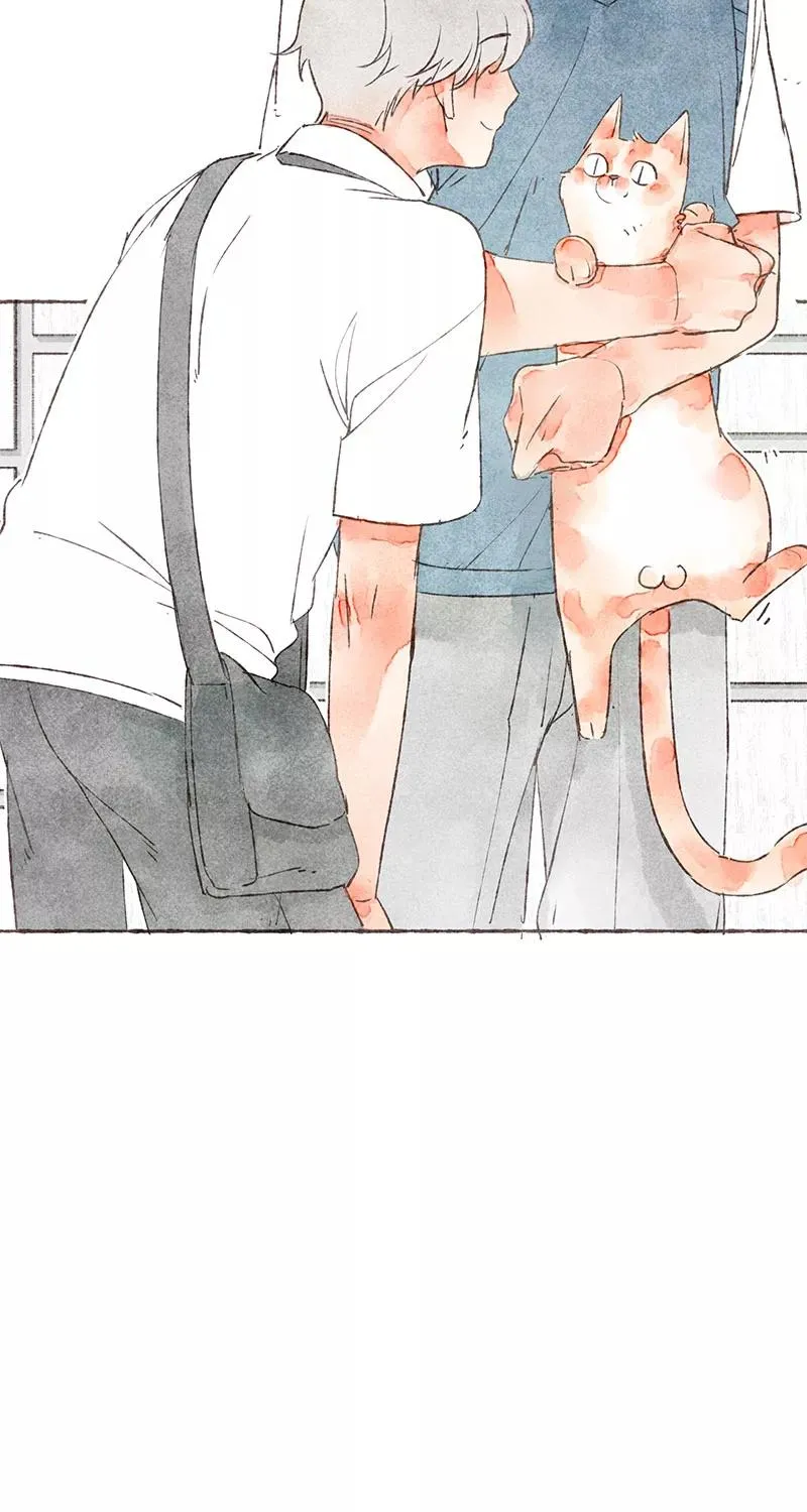 第23话 第44页