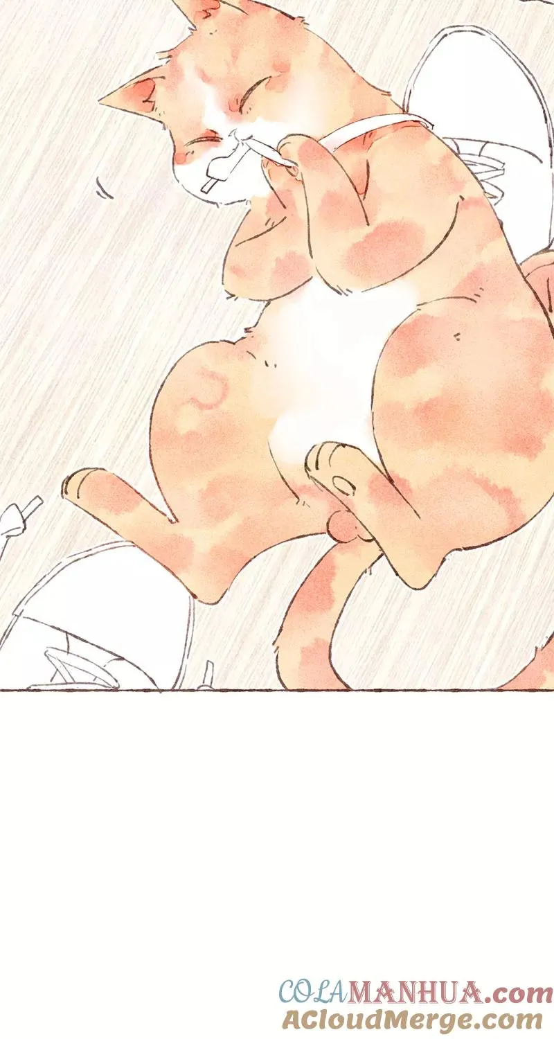 第31话 第37页