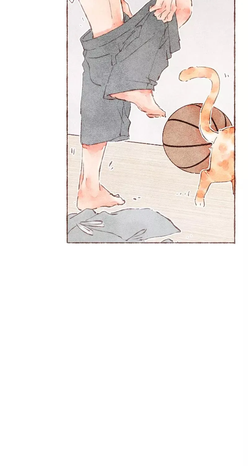 第33话 第17页
