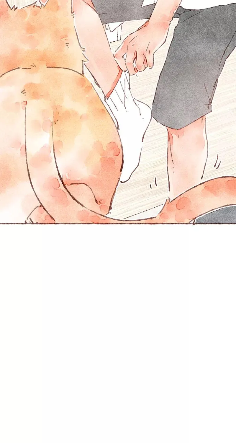 第33话 第20页