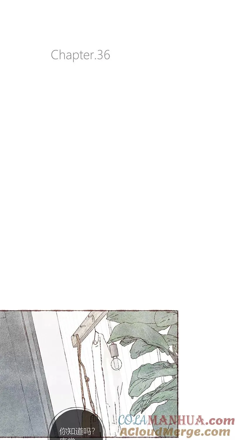 第36话 第16页