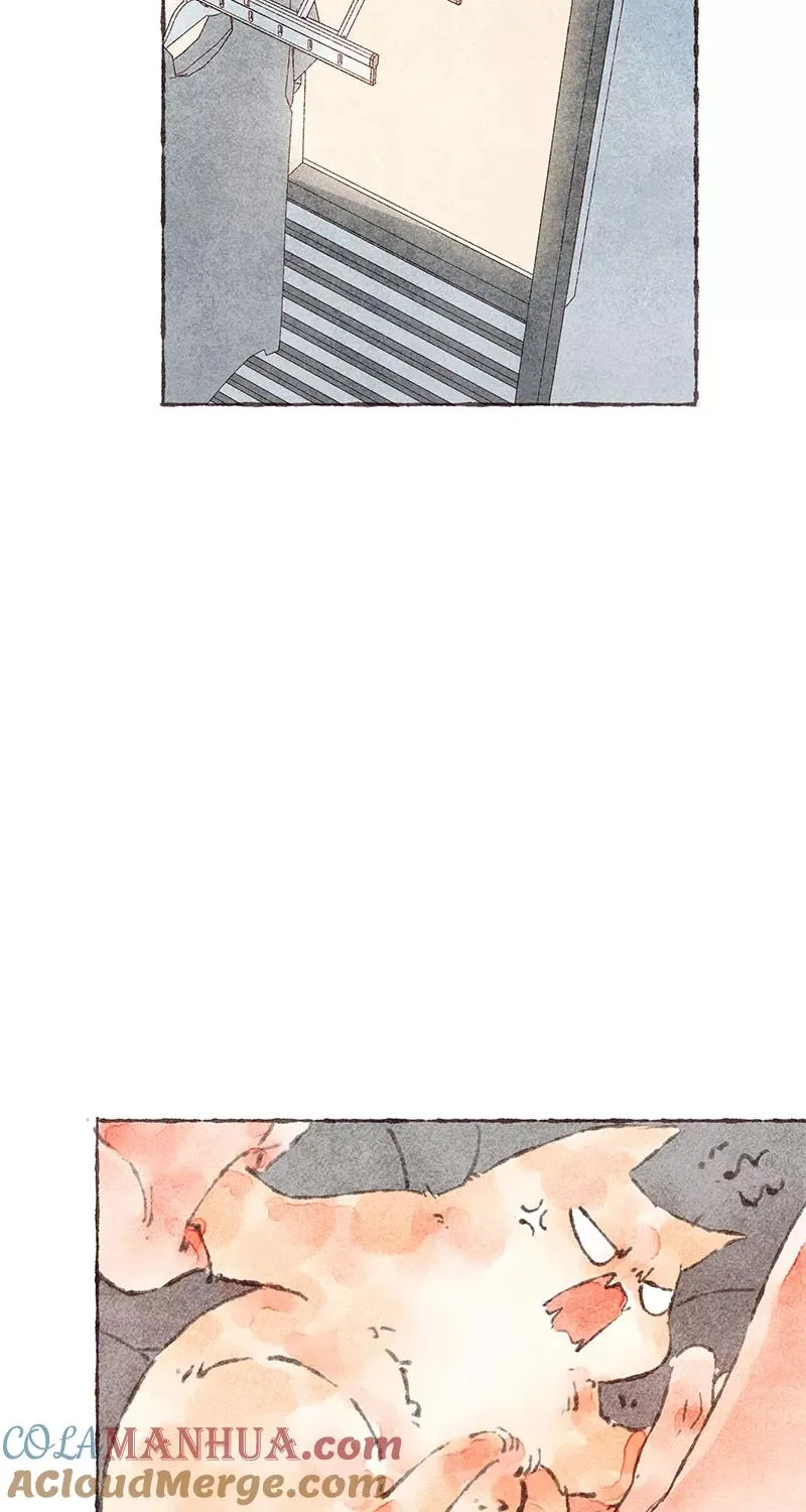 第37话 第40页