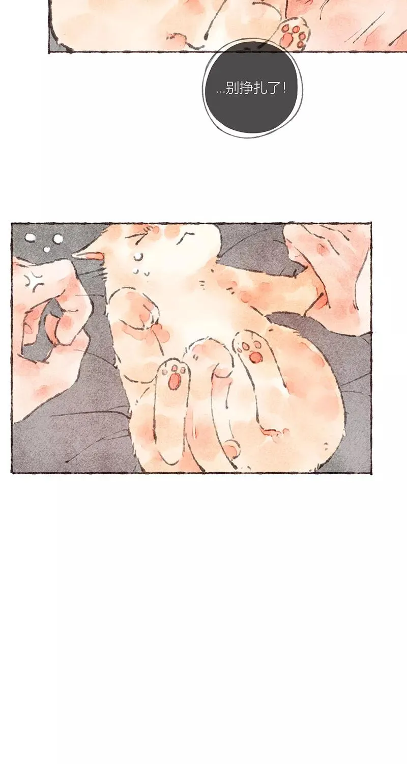 第37话 第41页