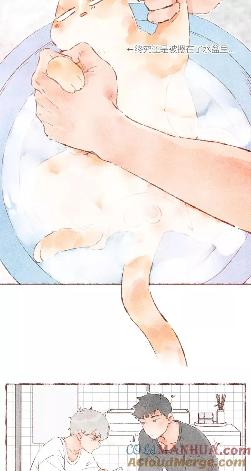 第38话 第21页