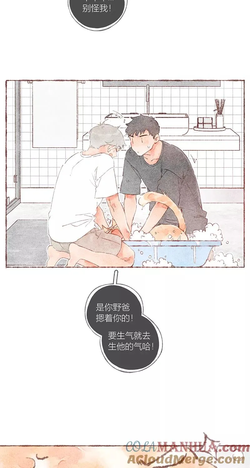 第38话 第29页