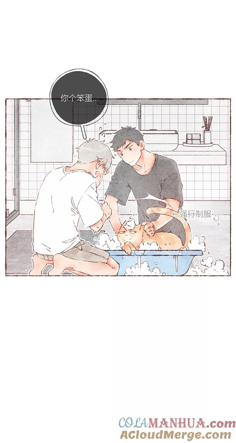 第38话 第33页