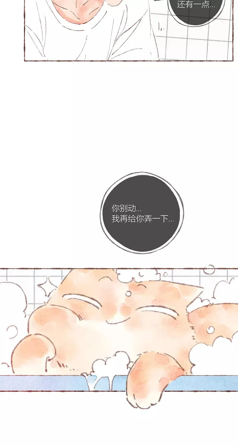 第38话 第42页