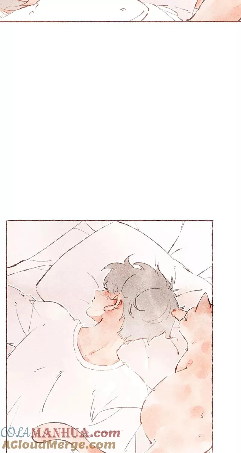 第41话 第22页